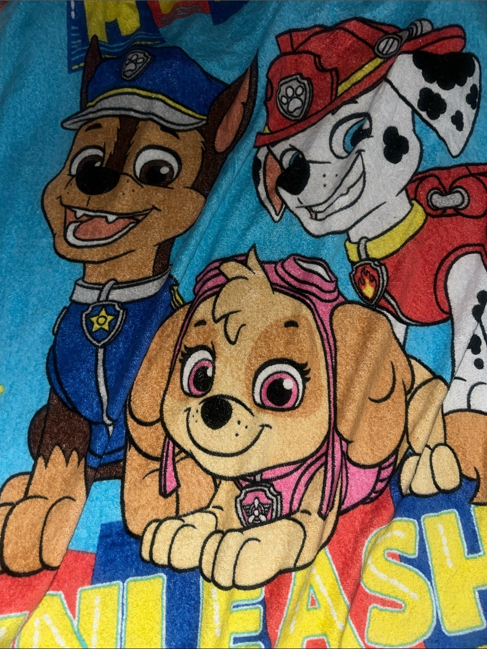 Home. Kids Paw Patrol Bright Blue Plush Blanket with Multicolor Character Art